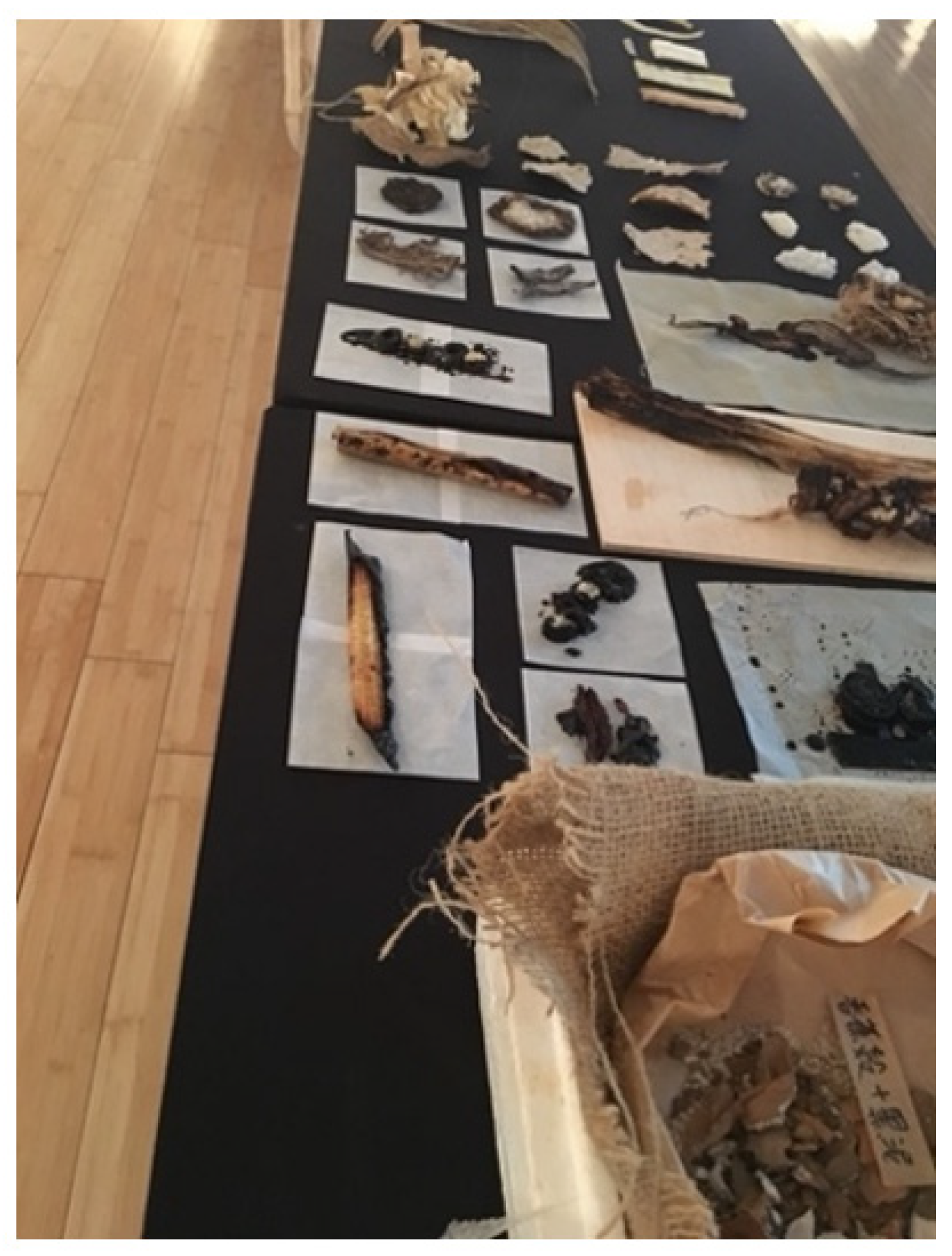 Sustainability 14 07872 g010