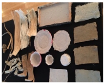 Sustainability 14 07872 i002