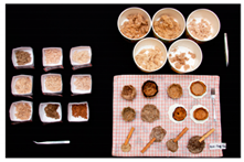 Sustainability 14 07872 i028