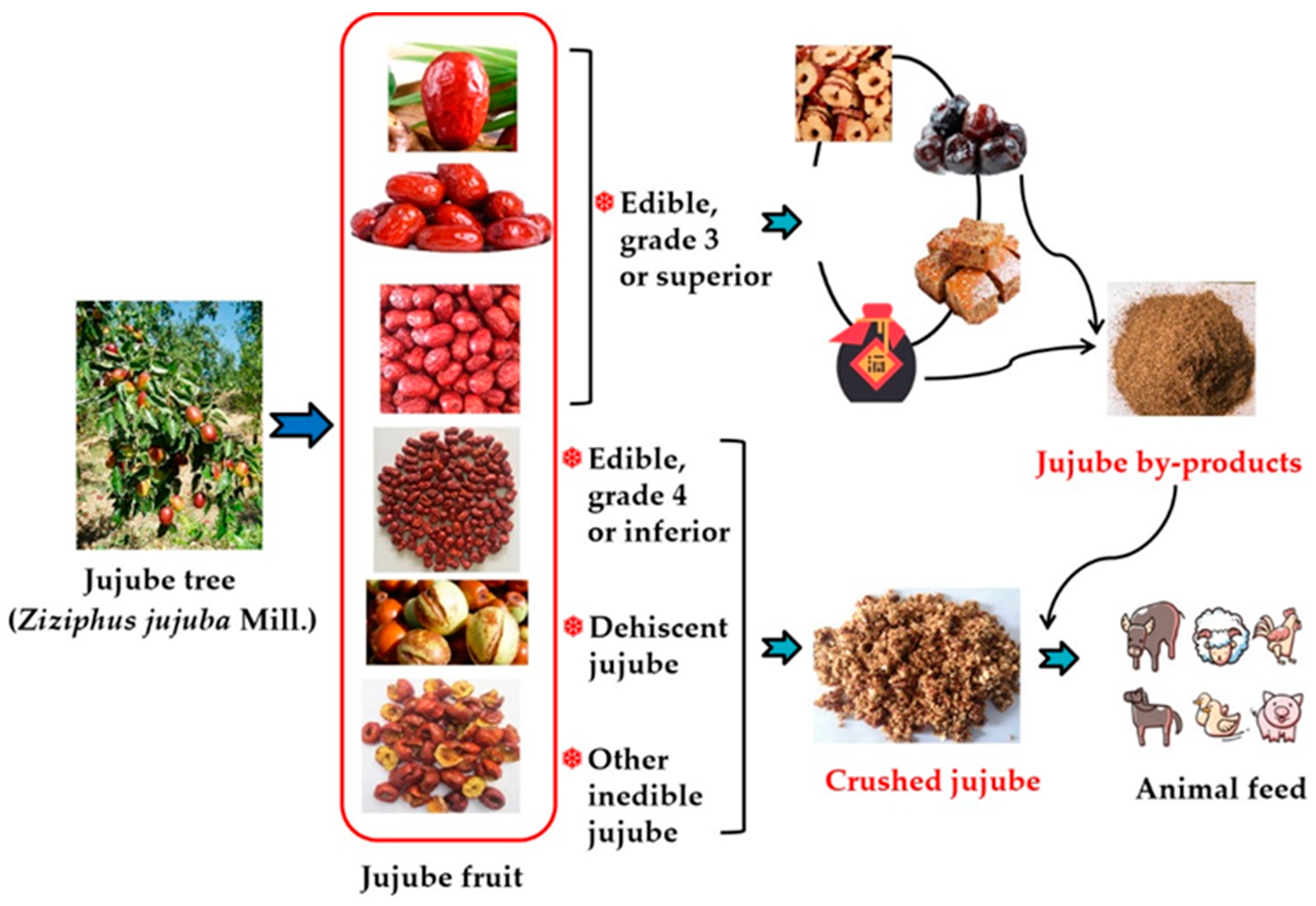 Sustainability 14 07882 g002