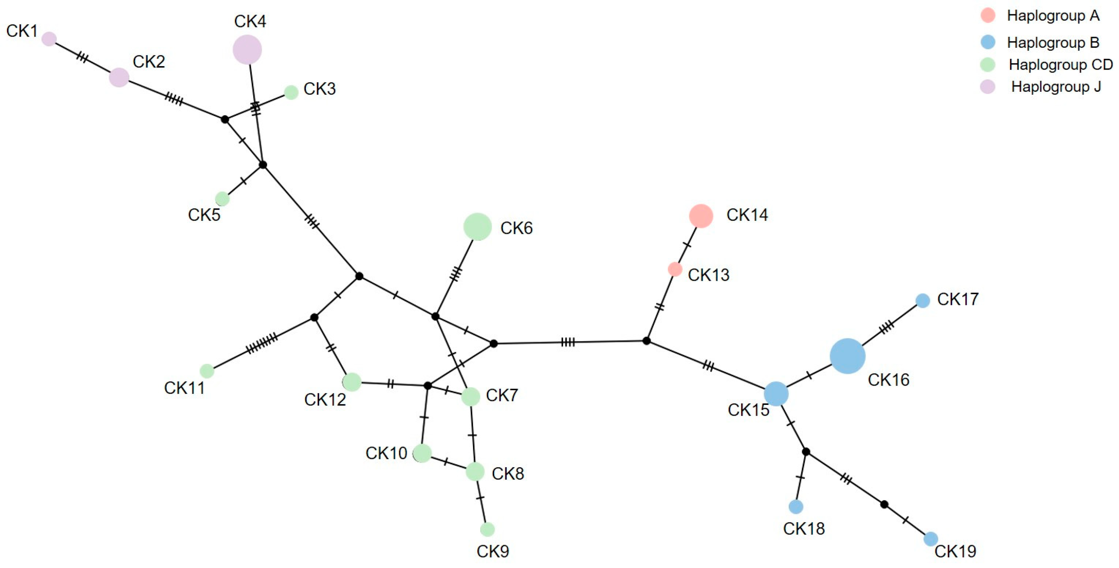 Sustainability 14 07895 g003 Sustainability 14 07895 g003