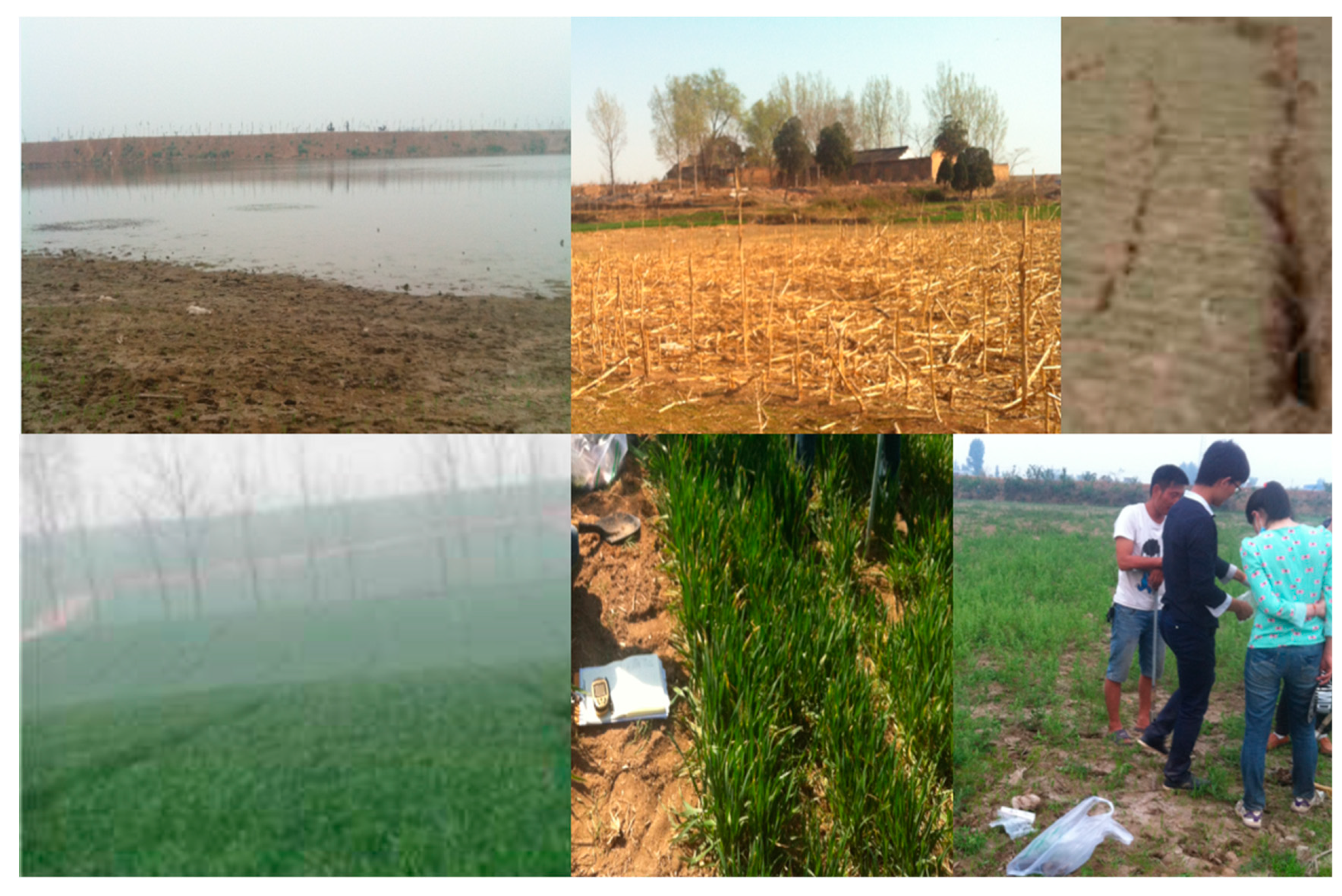 Sustainability 14 07897 g002 550