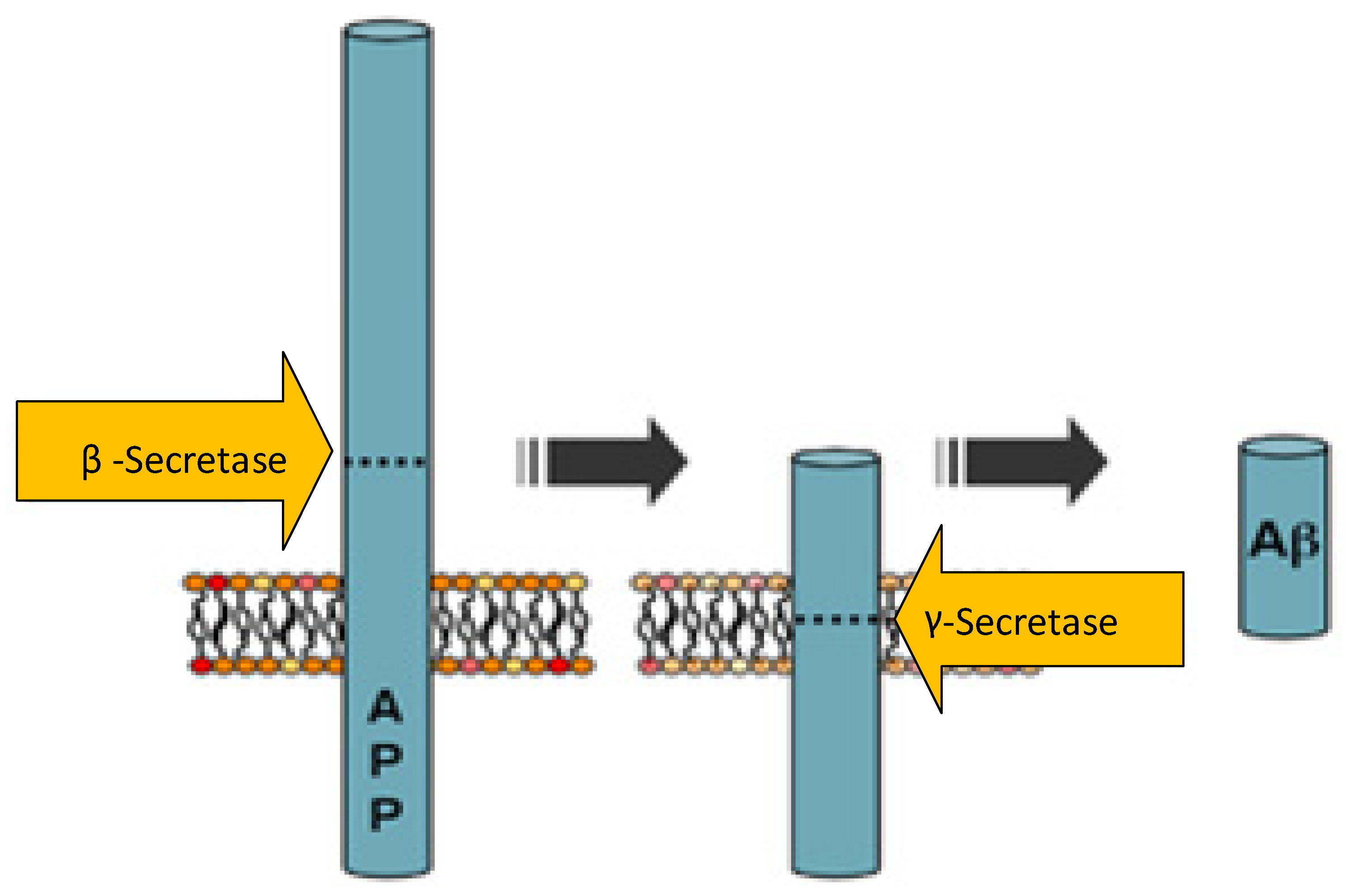 Sustainability 14 07901 g001