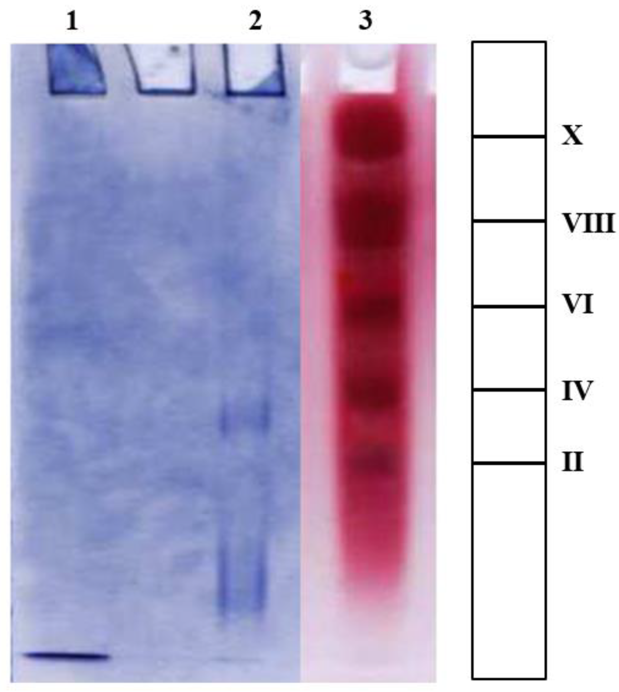 Sustainability 14 07926 g005 Sustainability 14 07926 g005