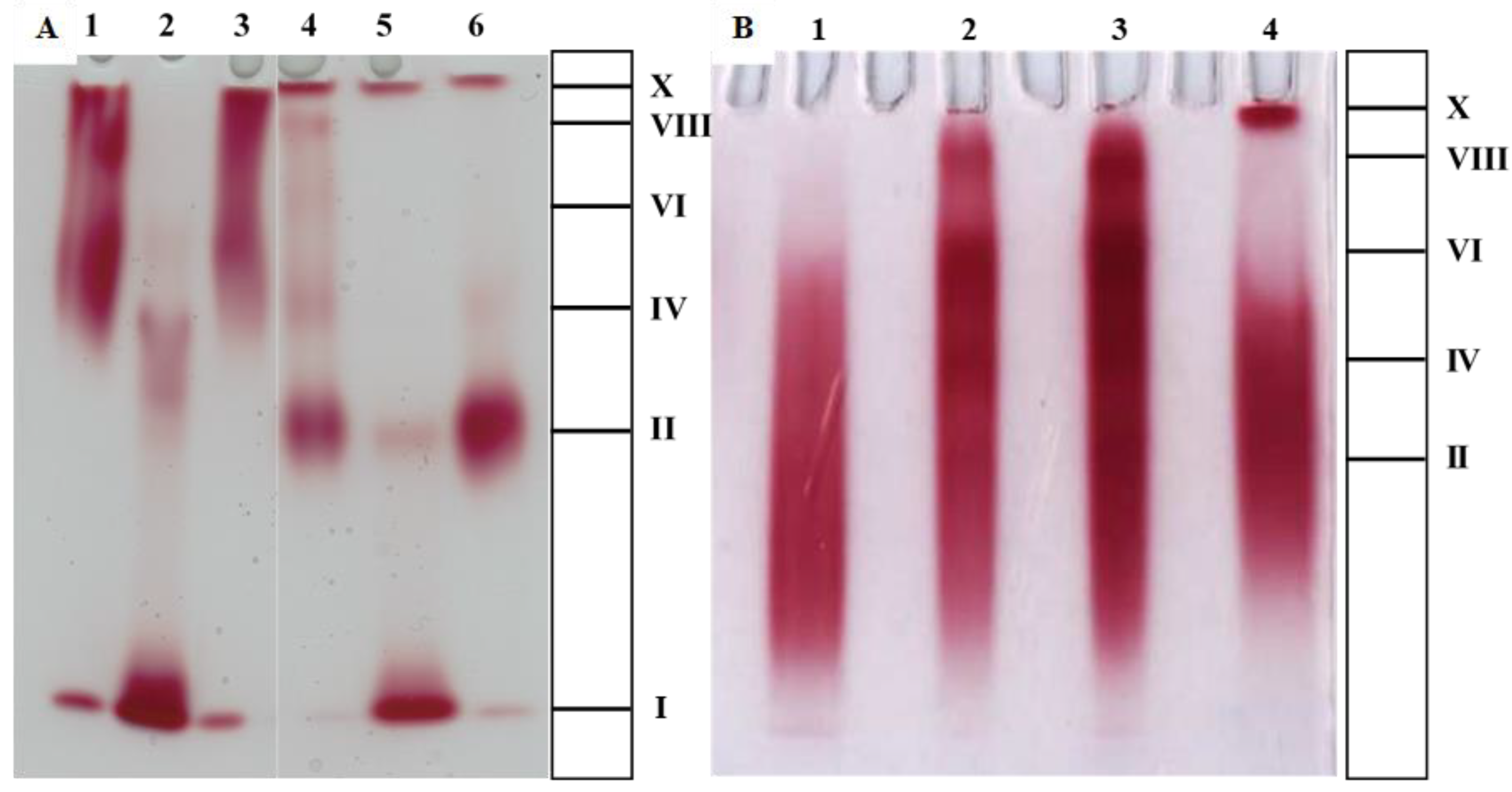 Sustainability 14 07926 g007 Sustainability 14 07926 g007