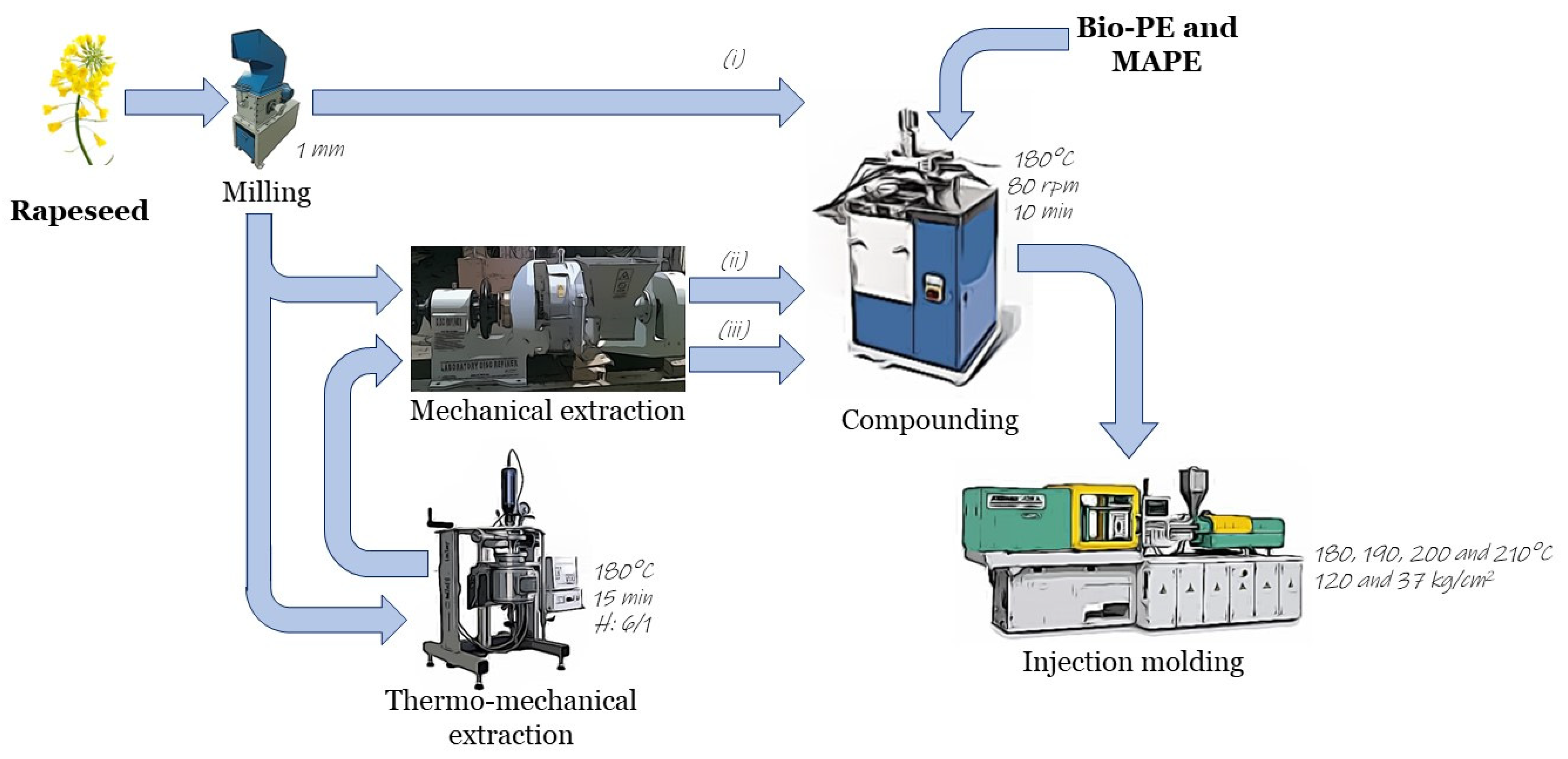 Sustainability 14 07942 g001