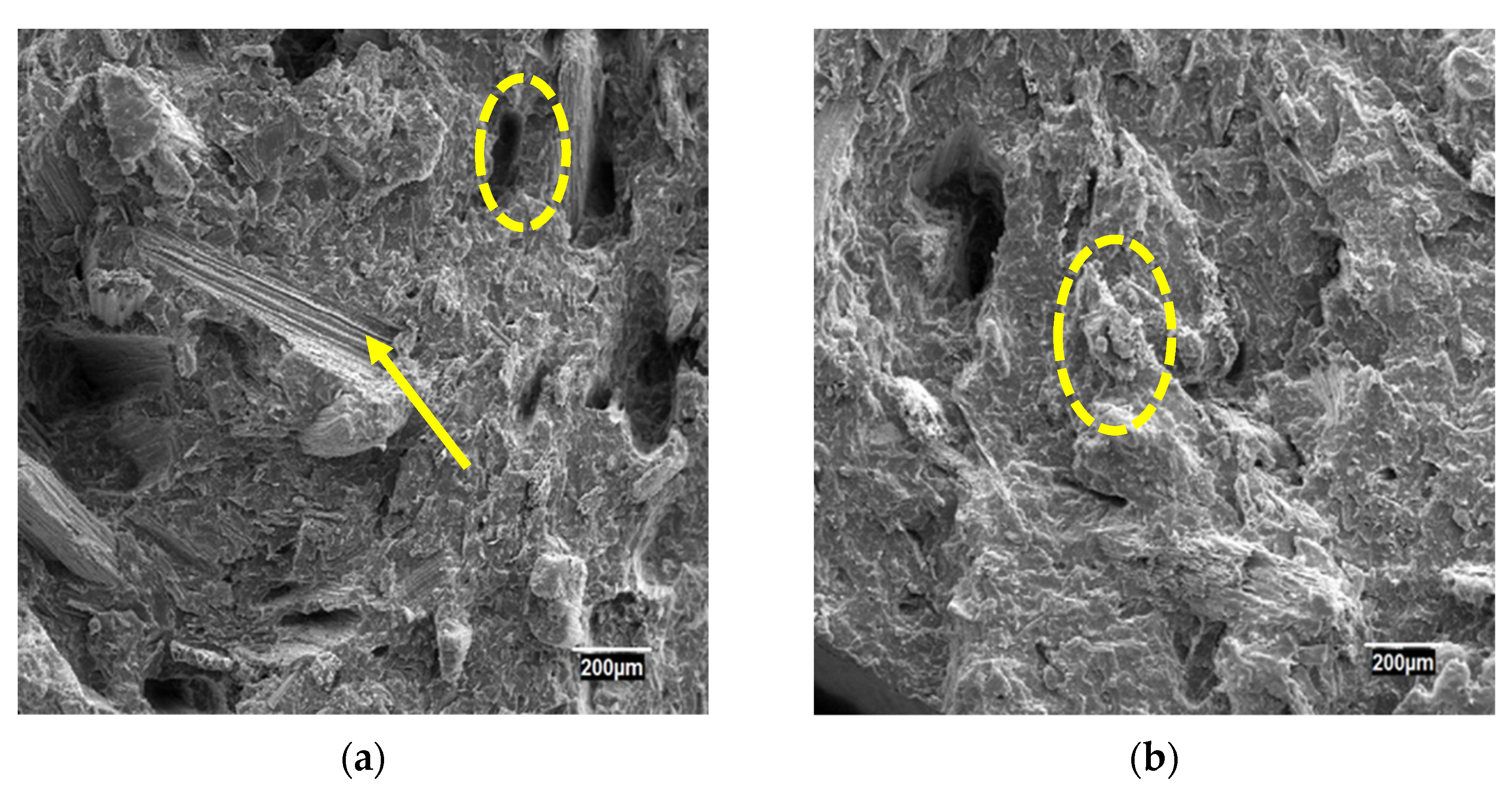 Sustainability 14 07942 g003a