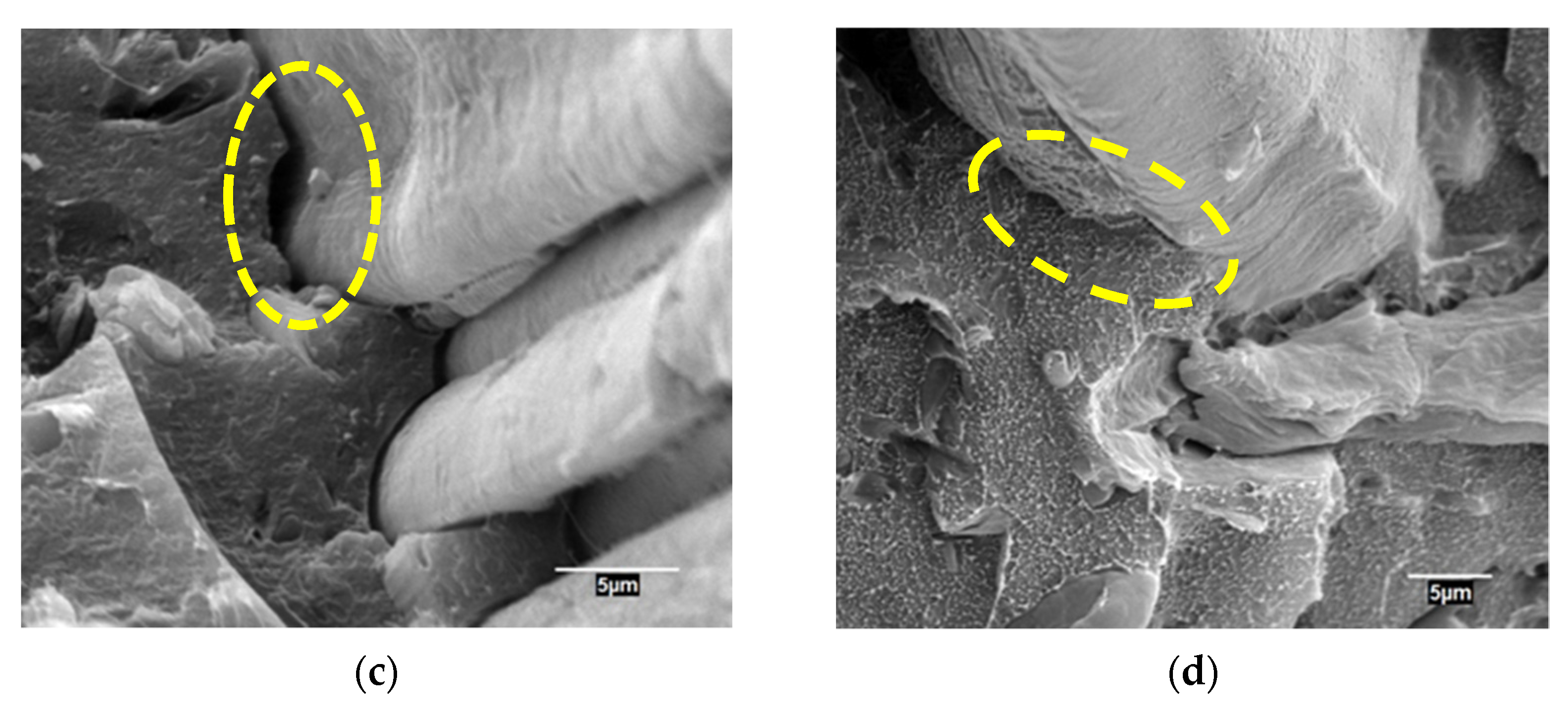 Sustainability 14 07942 g003b