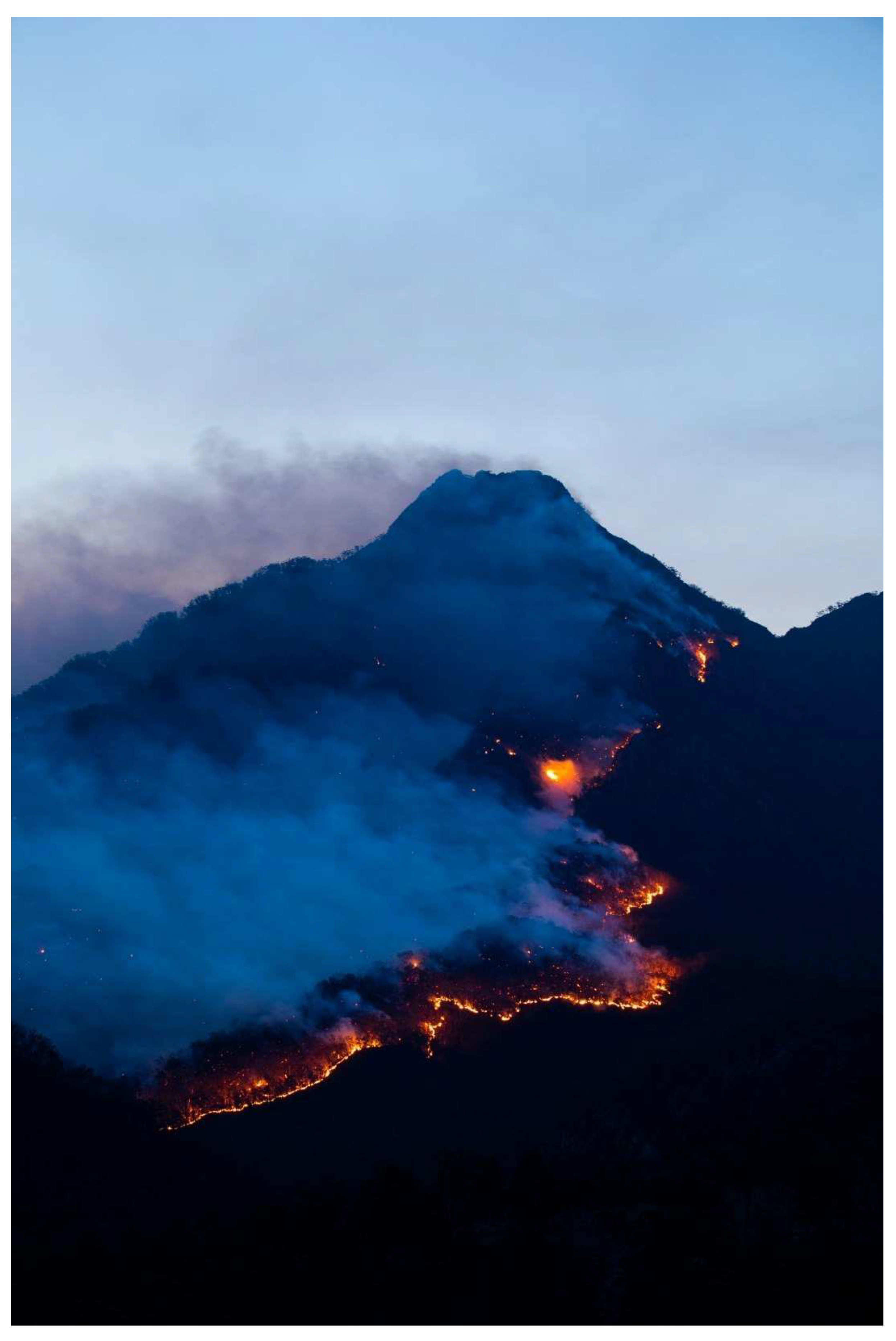 Sustainability 14 07948 g001