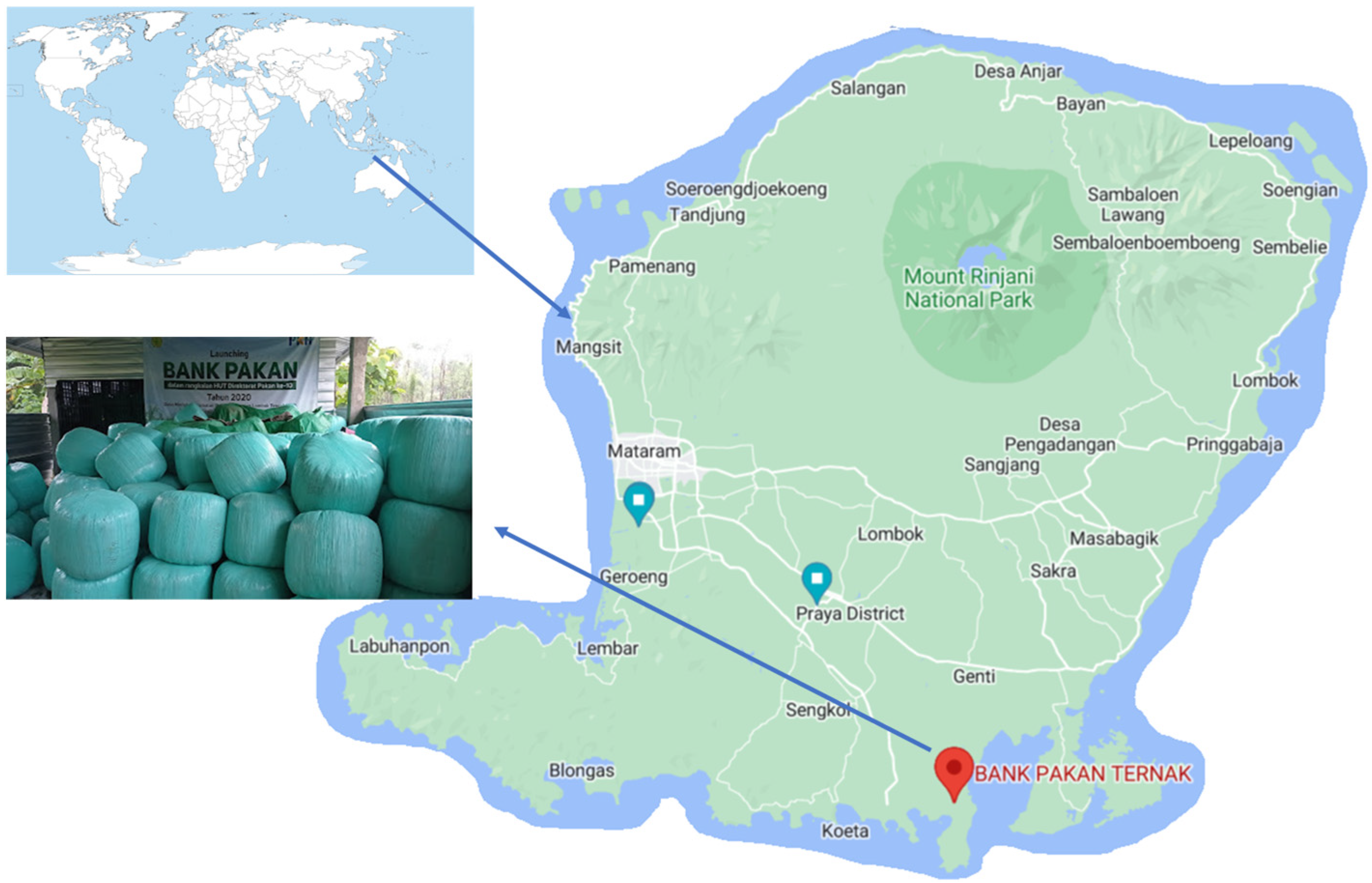 Sustainability 14 07989 g001