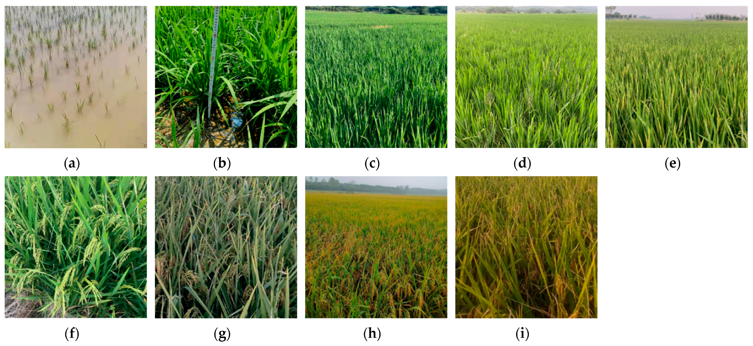 Sustainability 14 08009 g003