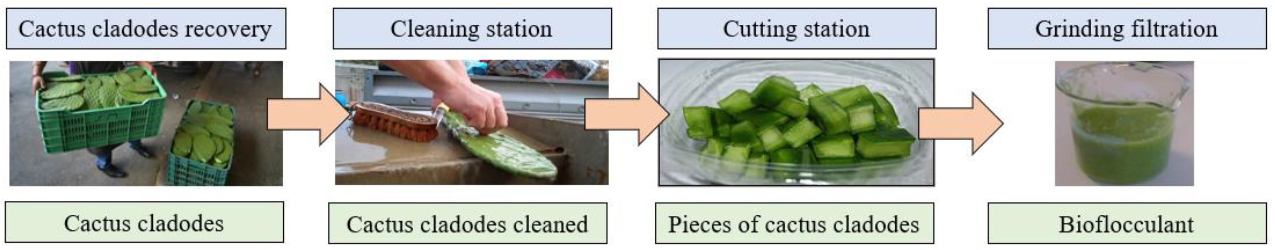 Sustainability 14 08054 g003