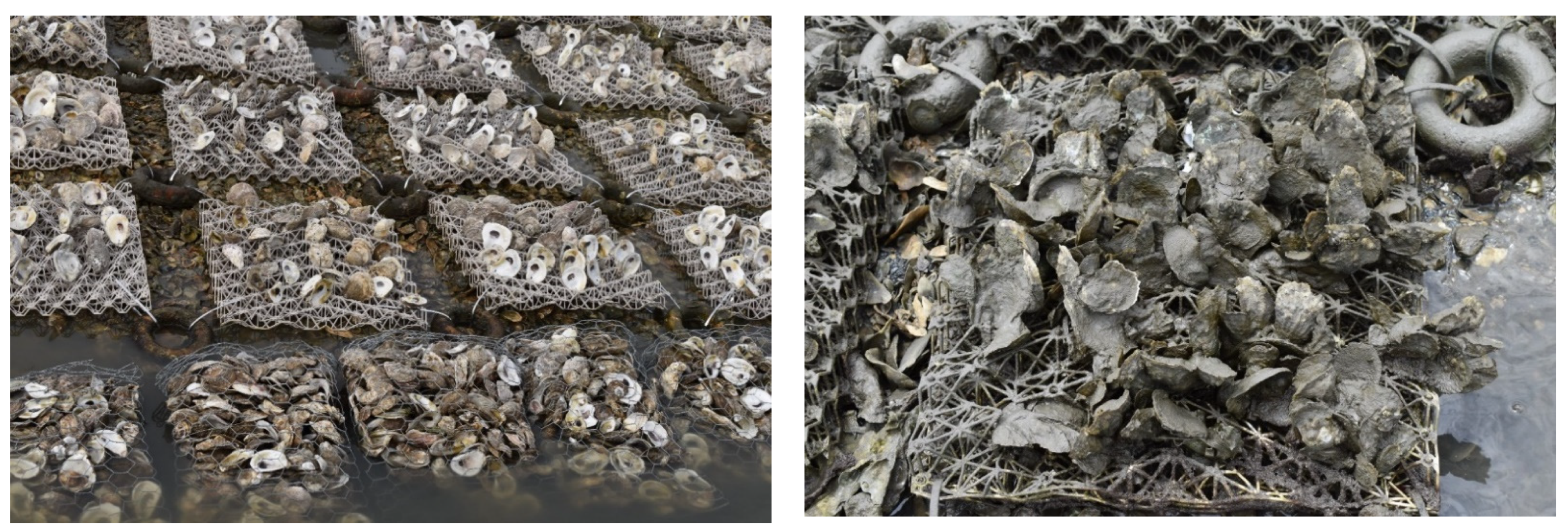 Sustainability 14 08055 g003