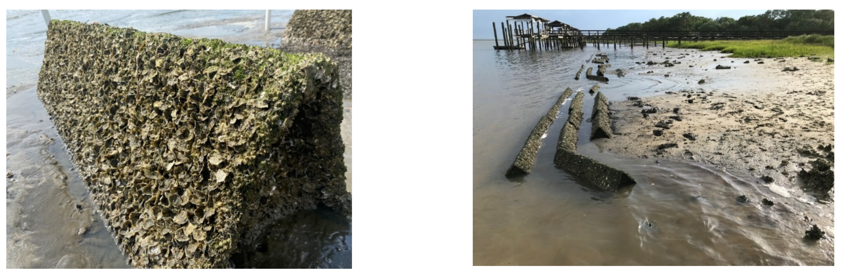 Sustainability 14 08055 g005