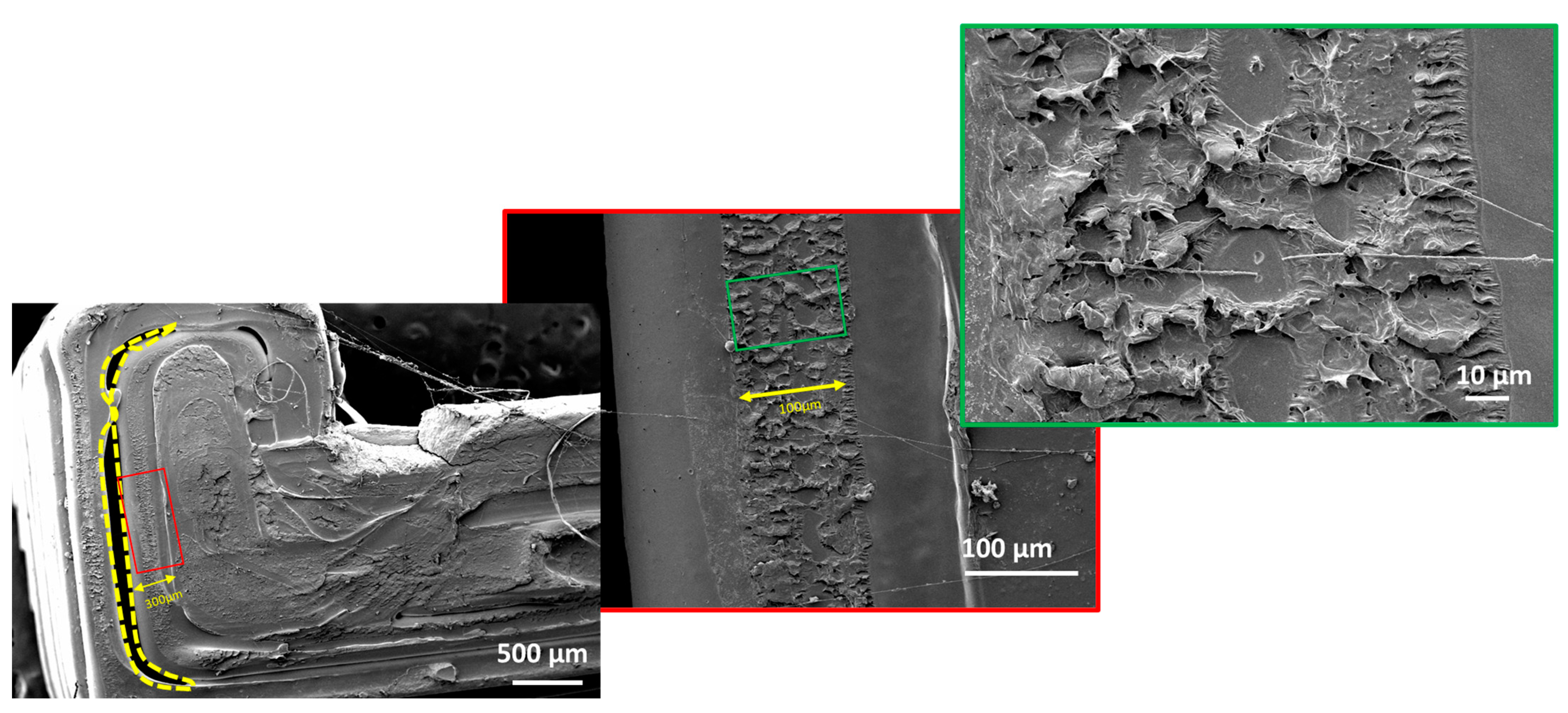 Sustainability 14 08071 g010 Sustainability 14 08071 g010