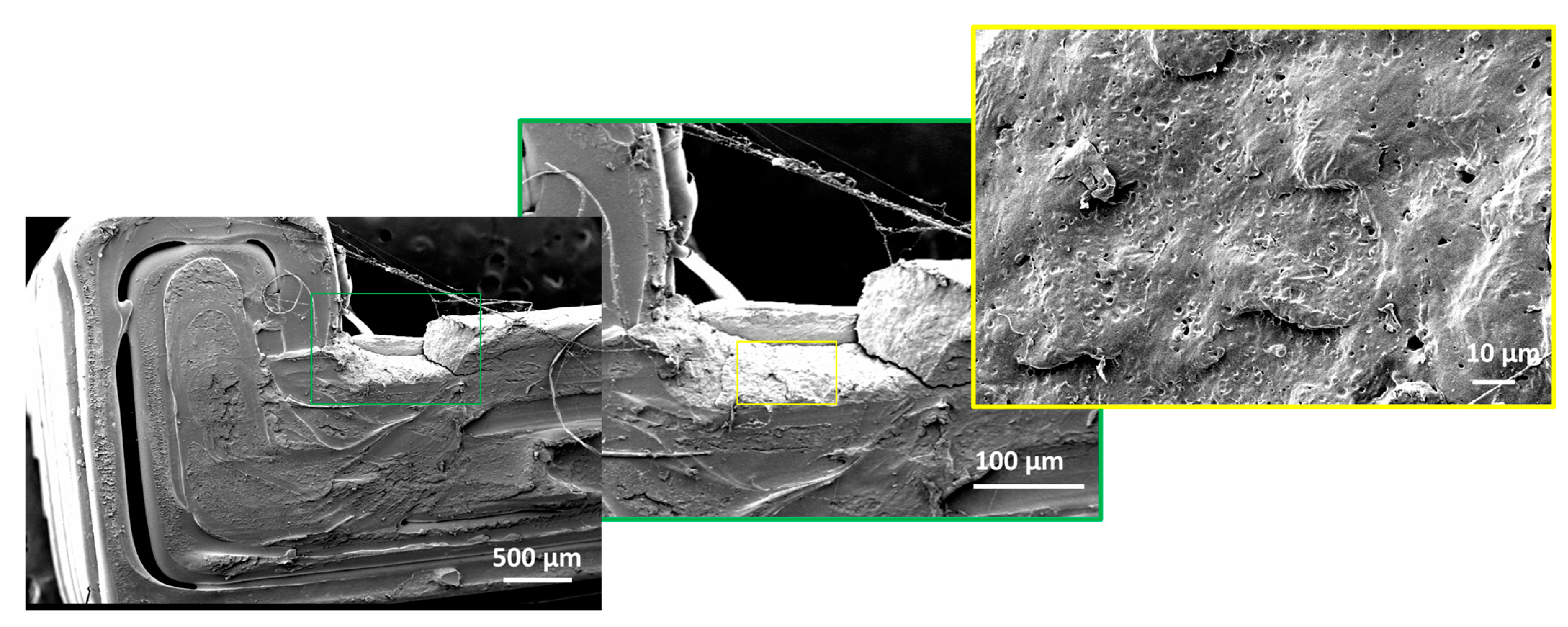 Sustainability 14 08071 g011 Sustainability 14 08071 g011