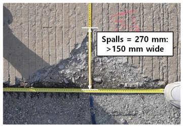 Sustainability 14 08143 i003