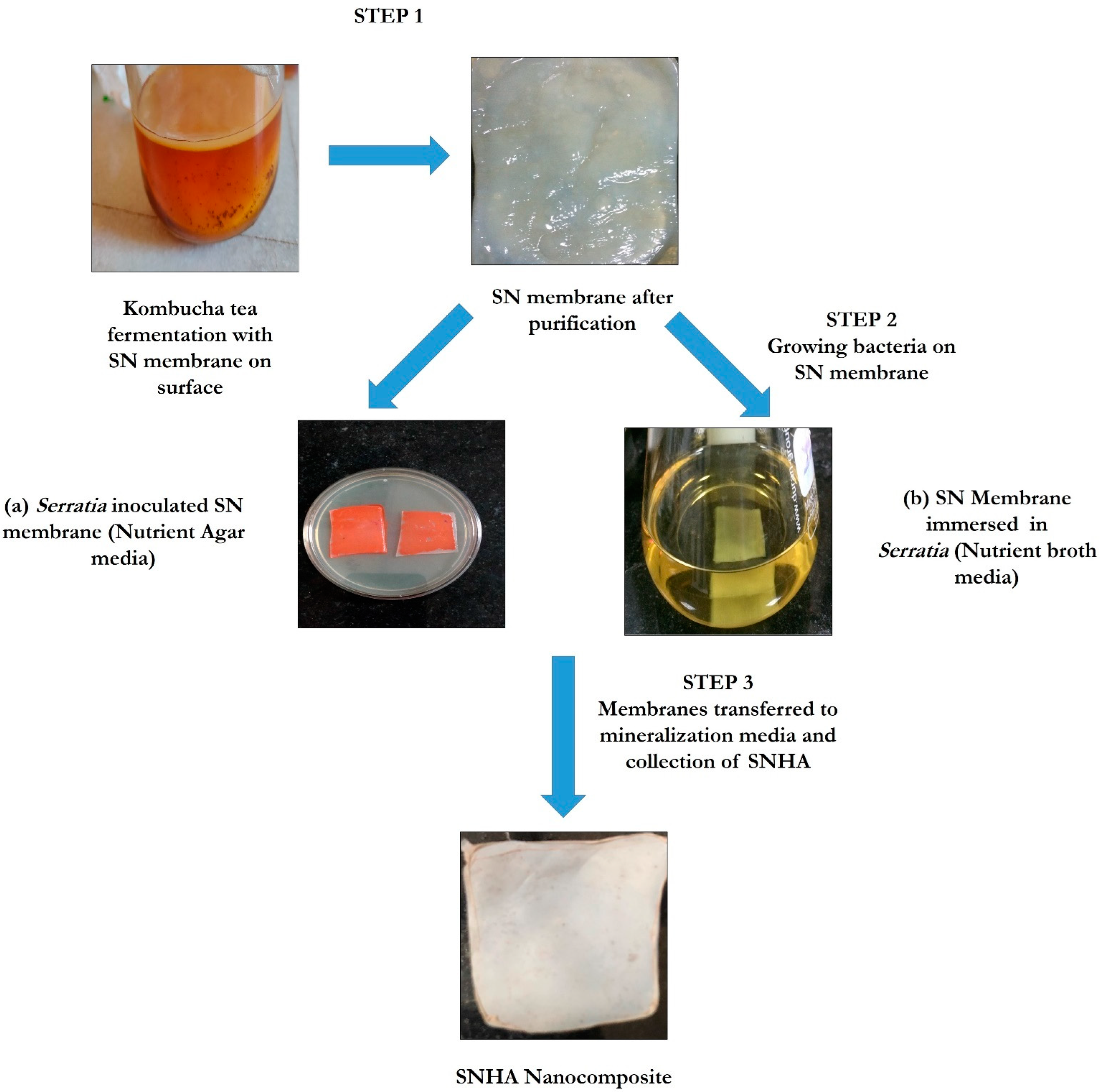 Sustainability 14 08144 g001