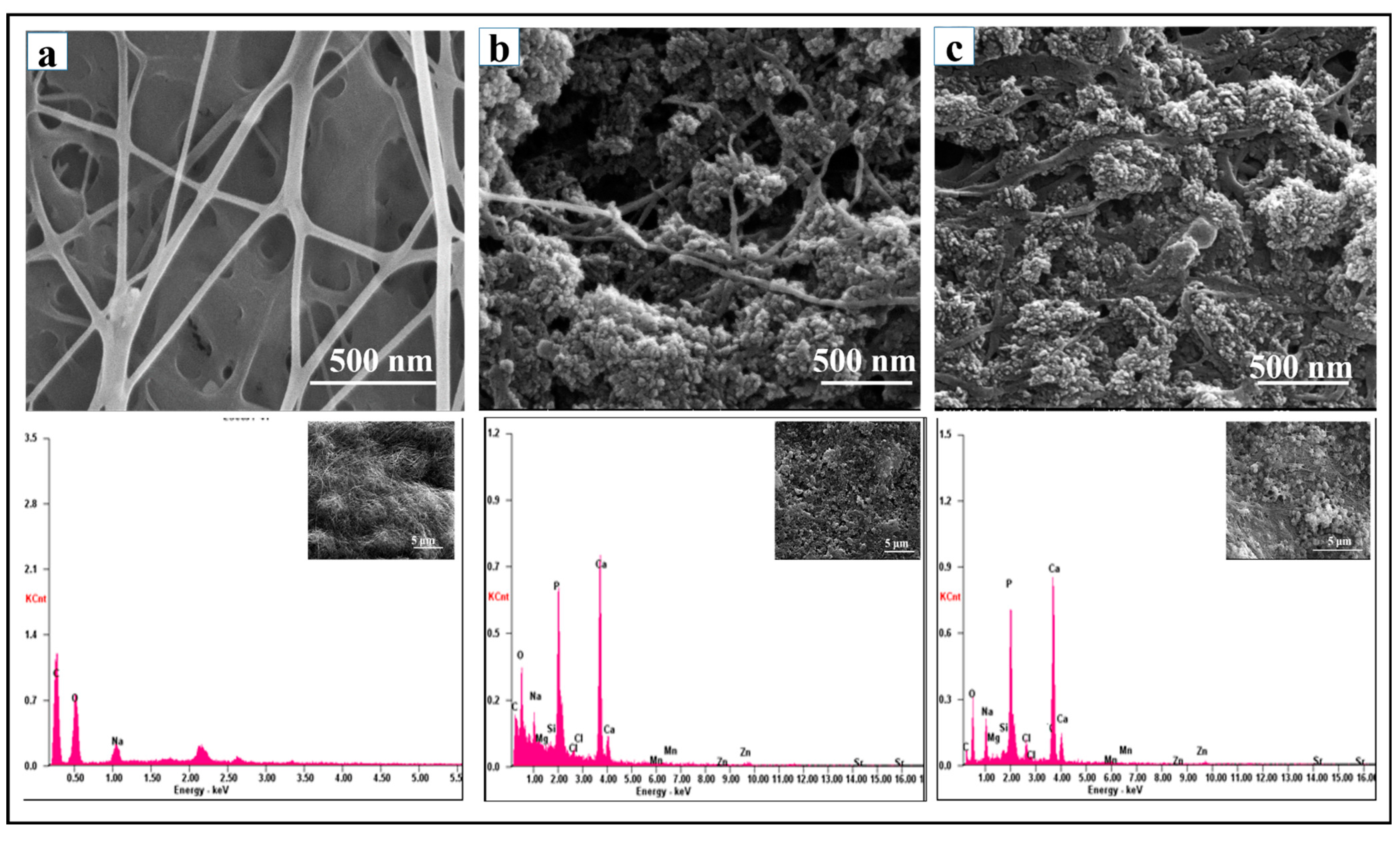 Sustainability 14 08144 g002