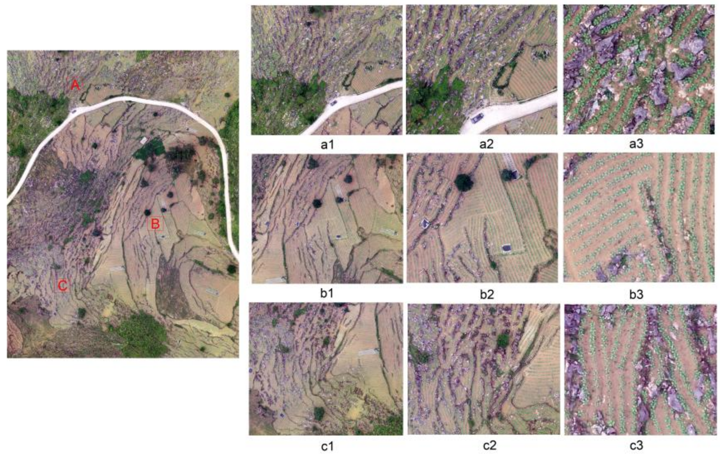 Sustainability 14 08151 g002 550