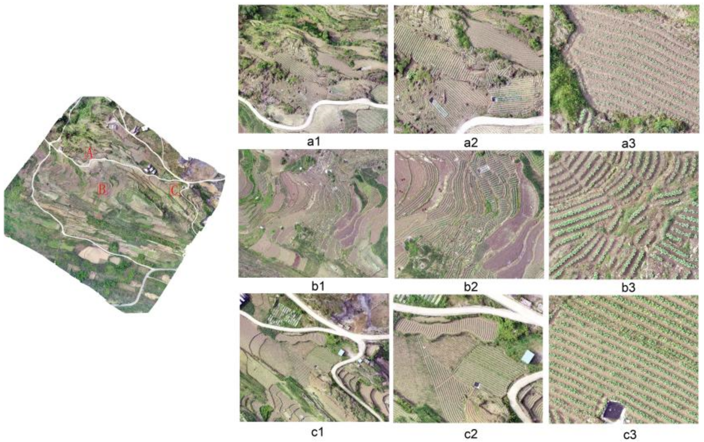 Sustainability 14 08151 g003 550