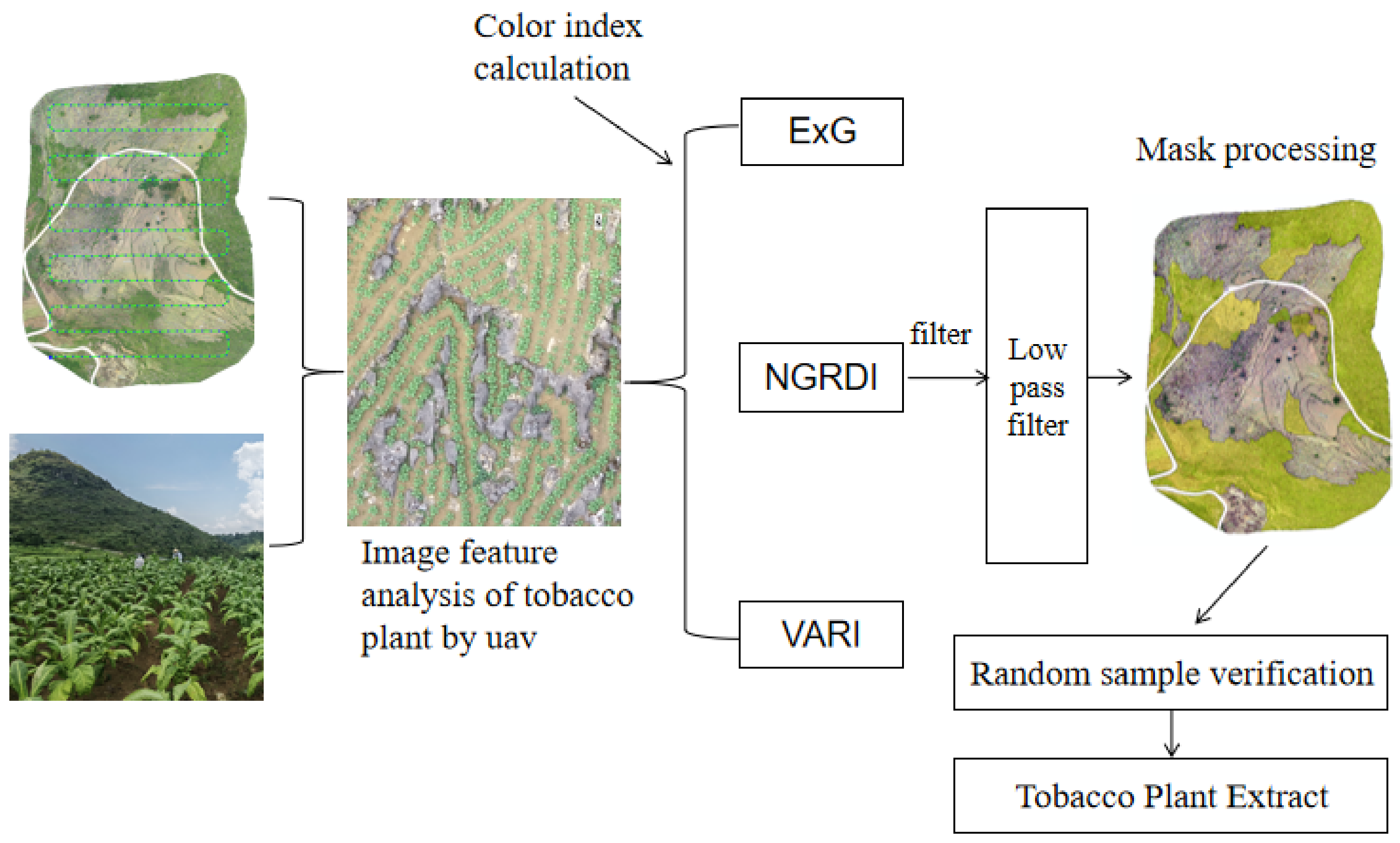Sustainability 14 08151 g005 550