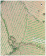 Sustainability 14 08151 i001