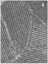 Sustainability 14 08151 i003