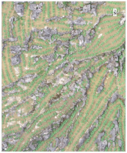 Sustainability 14 08151 i005