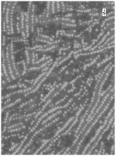 Sustainability 14 08151 i006