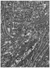 Sustainability 14 08151 i007