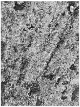 Sustainability 14 08151 i011