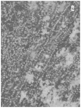 Sustainability 14 08151 i012