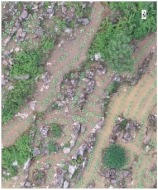 Sustainability 14 08151 i013