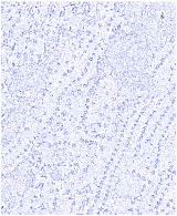 Sustainability 14 08151 i014