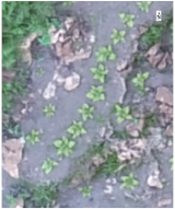 Sustainability 14 08151 i017