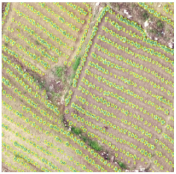 Sustainability 14 08151 i021