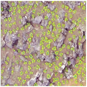 Sustainability 14 08151 i022