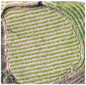 Sustainability 14 08151 i025