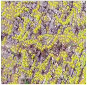 Sustainability 14 08151 i026