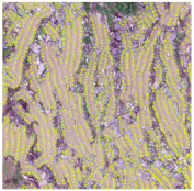 Sustainability 14 08151 i028