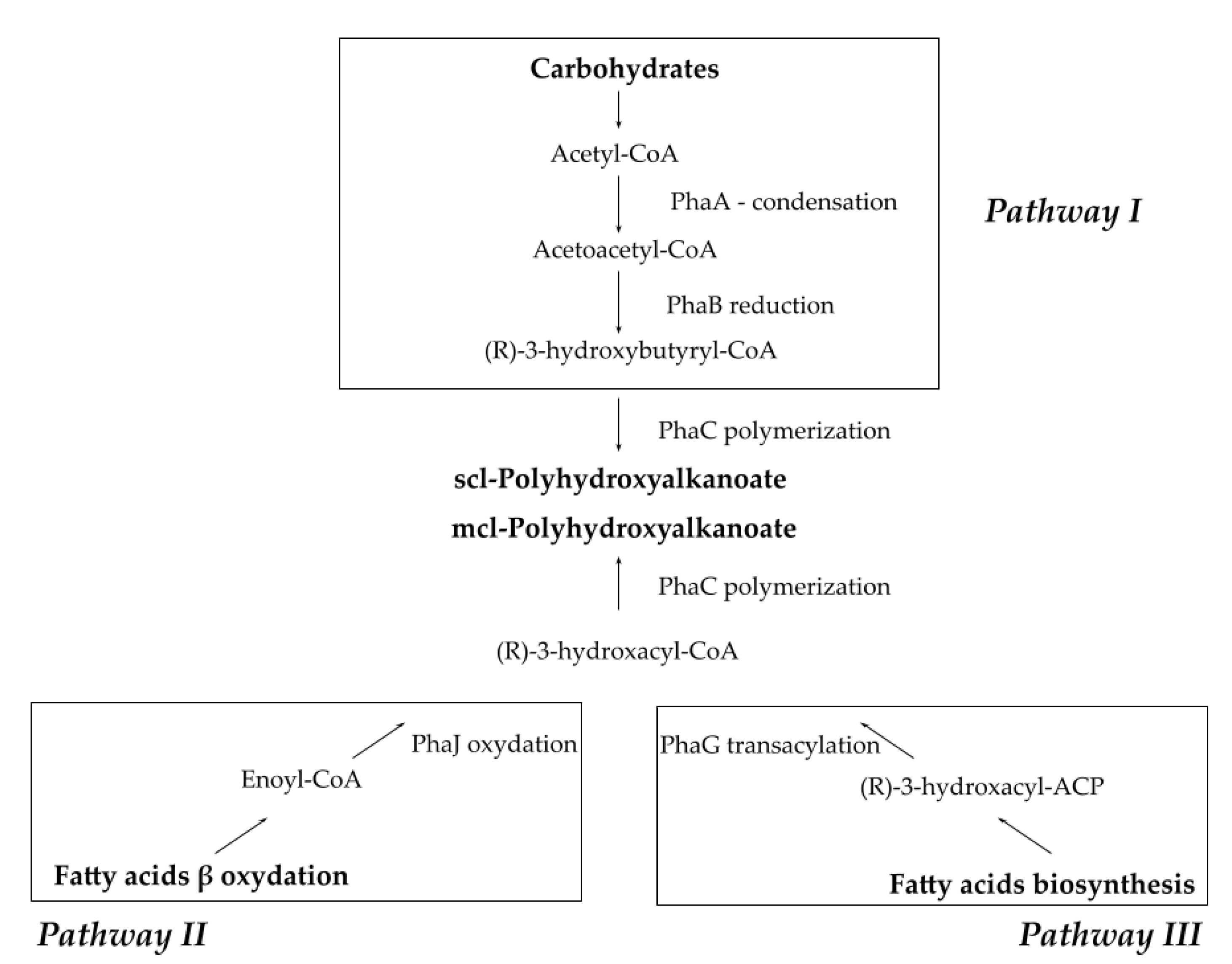 Sustainability 14 08241 g002