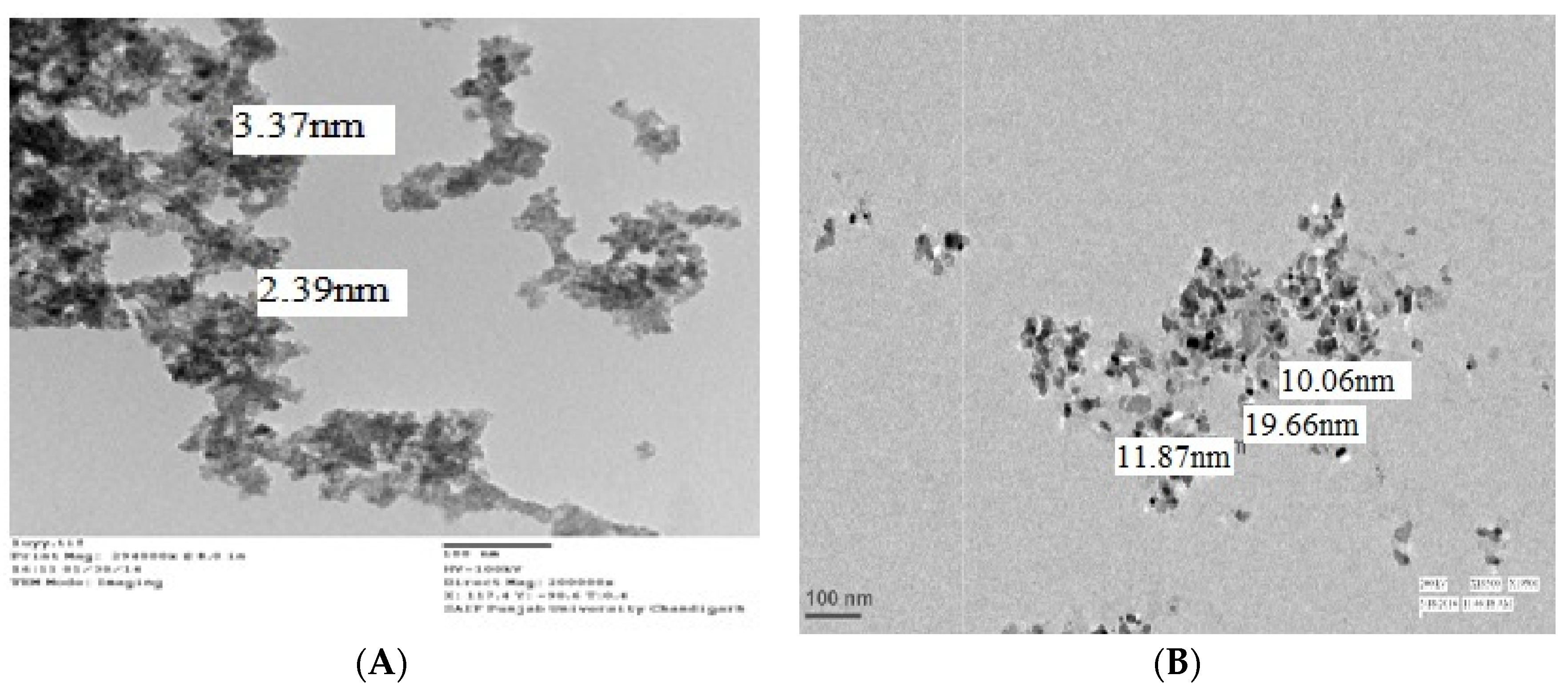 Sustainability 14 08251 g001a