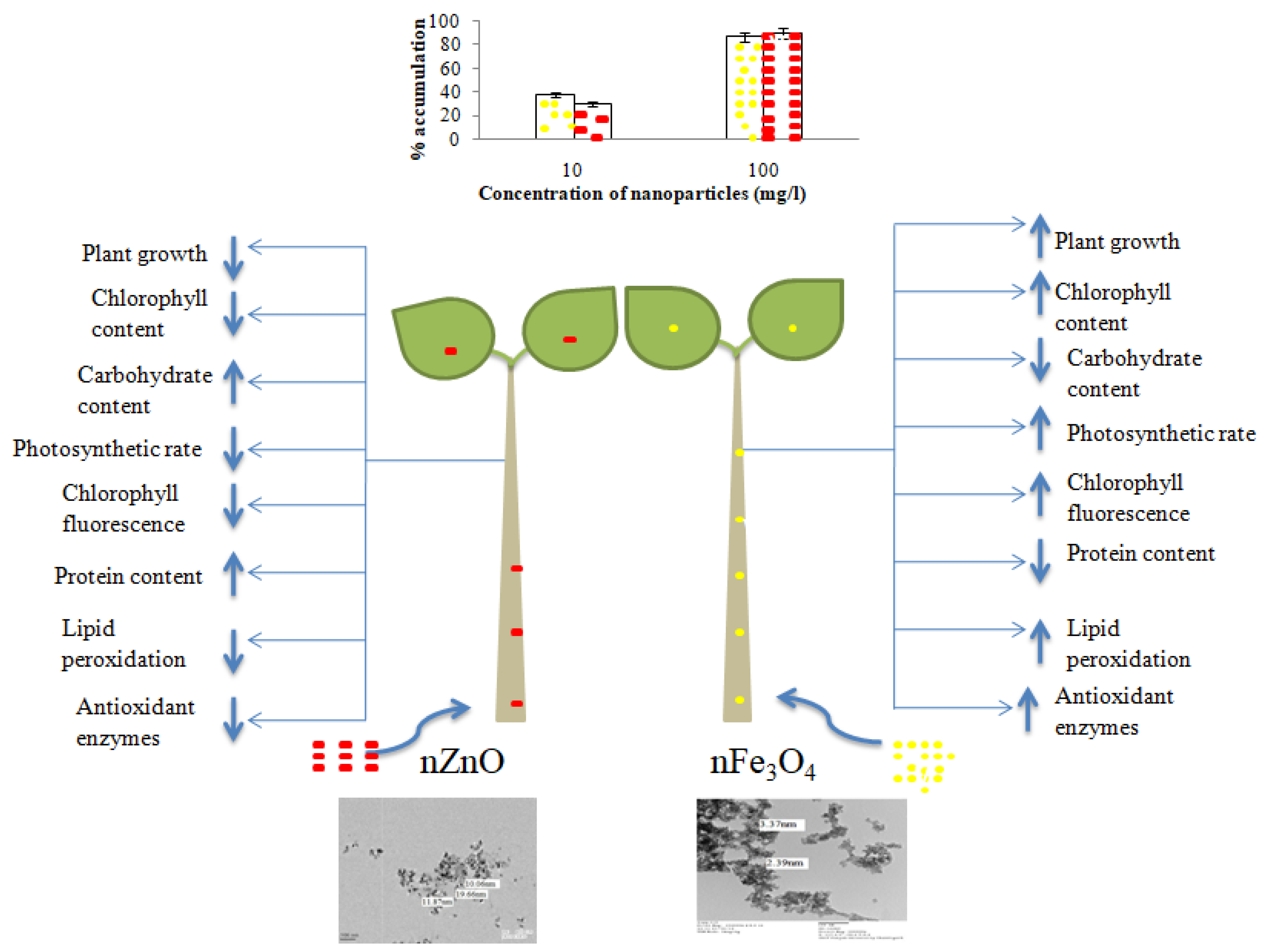 Sustainability 14 08251 sch001