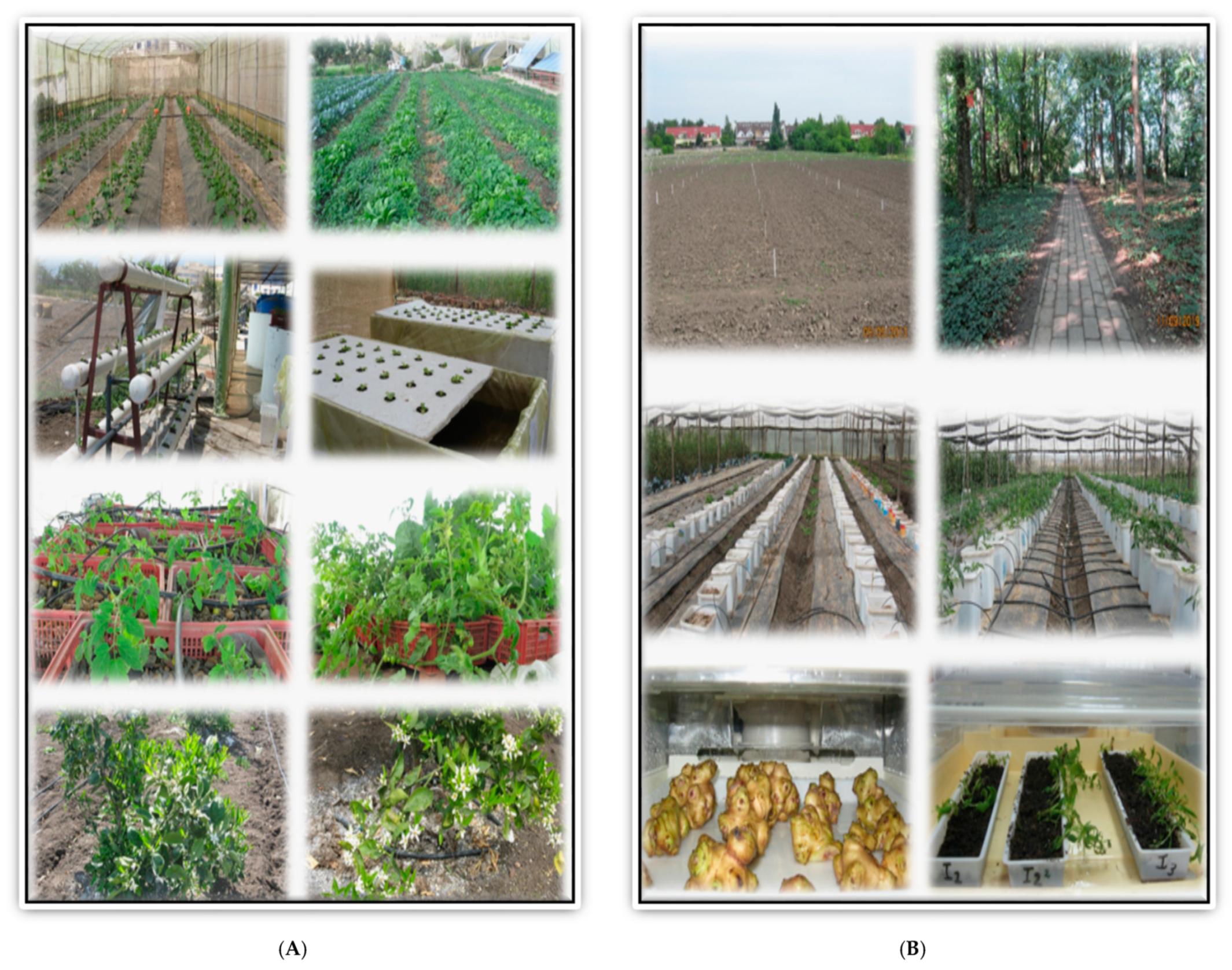 Sustainability 14 08329 g002 Sustainability 14 08329 g002