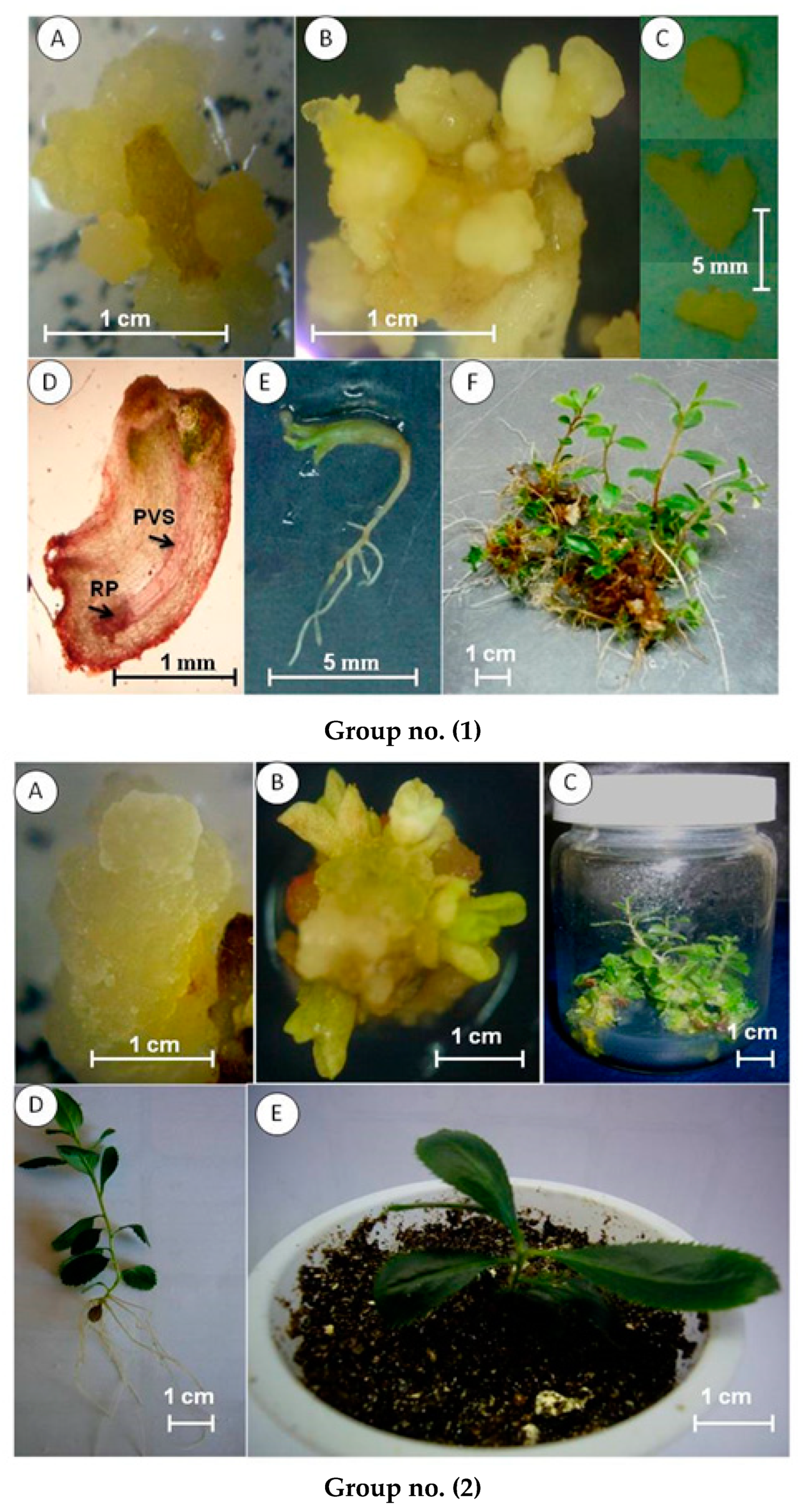 Sustainability 14 08329 g003 Sustainability 14 08329 g003