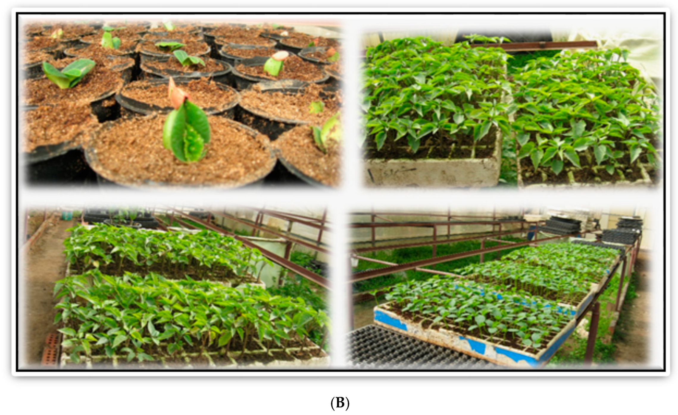 Sustainability 14 08329 g004b Sustainability 14 08329 g004b