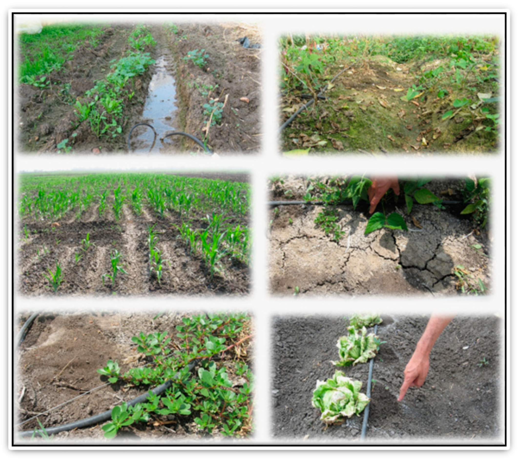 Sustainability 14 08329 g005 Sustainability 14 08329 g005