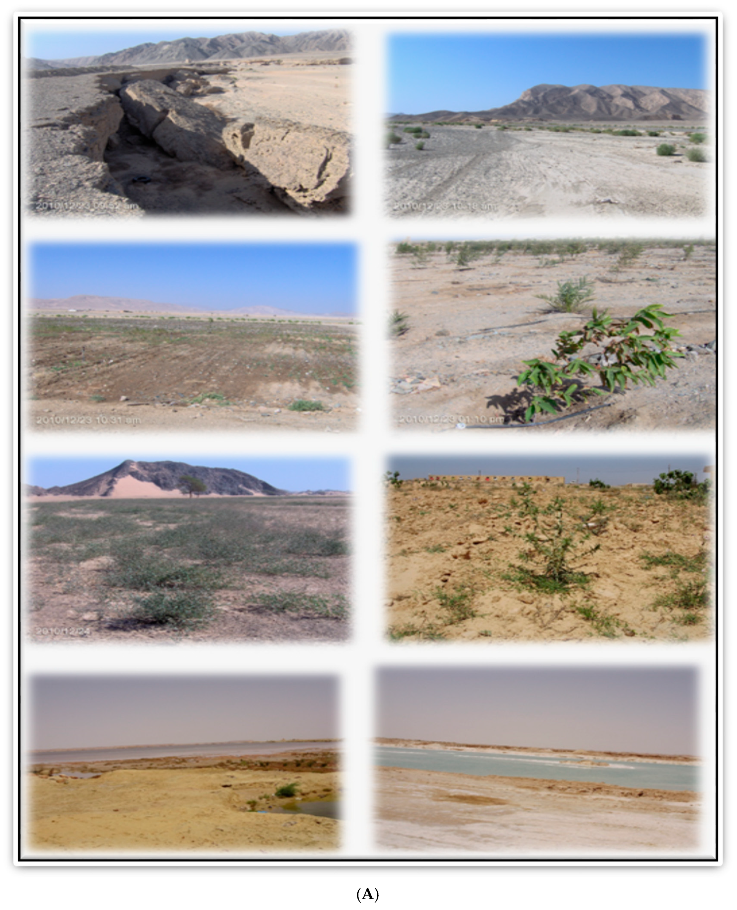 Sustainability 14 08329 g016a Sustainability 14 08329 g016a