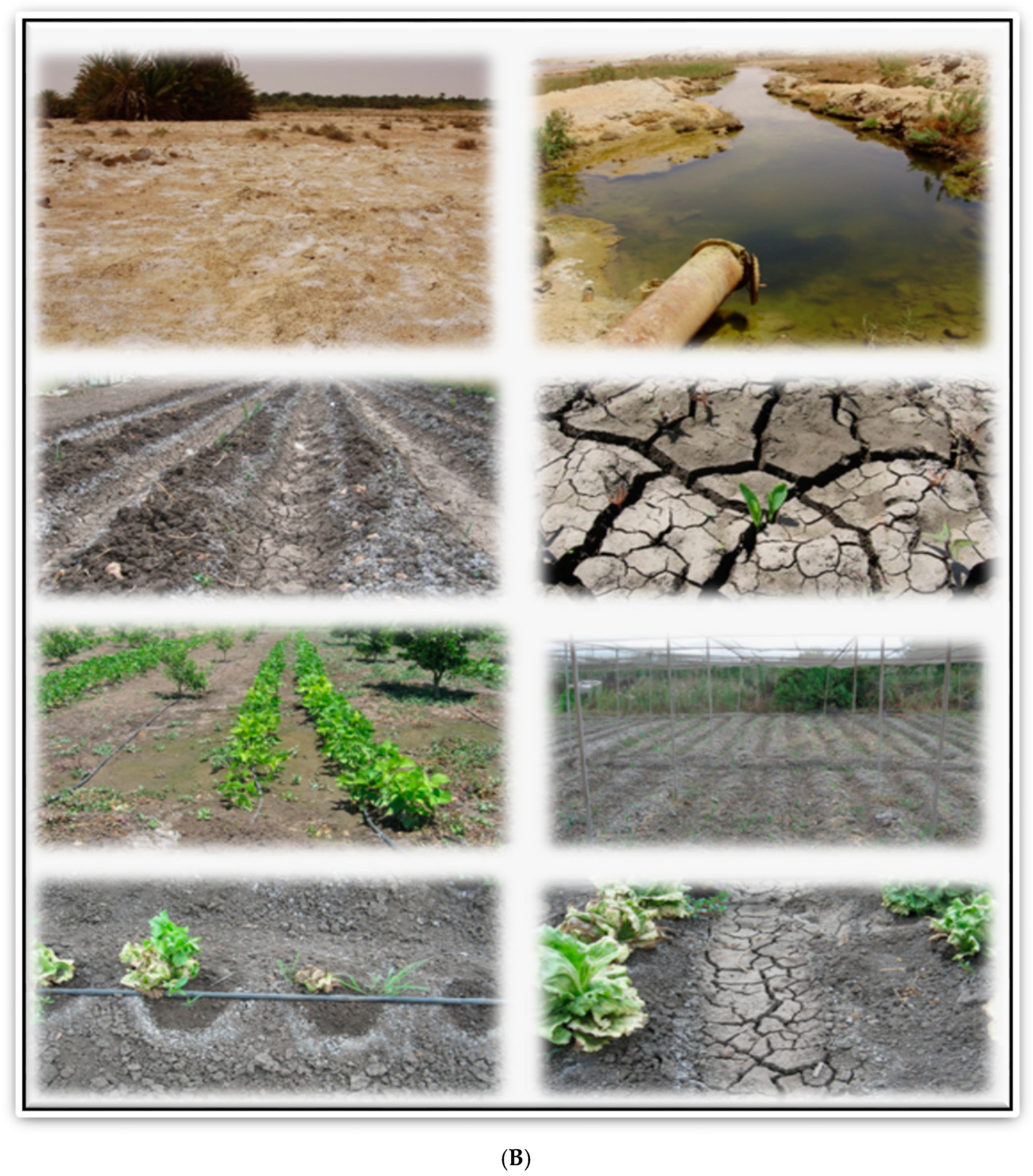 Sustainability 14 08329 g016b Sustainability 14 08329 g016b